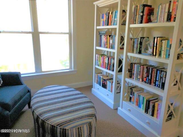1701 Salter Path Road, Unit 202G Indian Beach, NC 28512 - Photo 28 of 29 TOC lending library