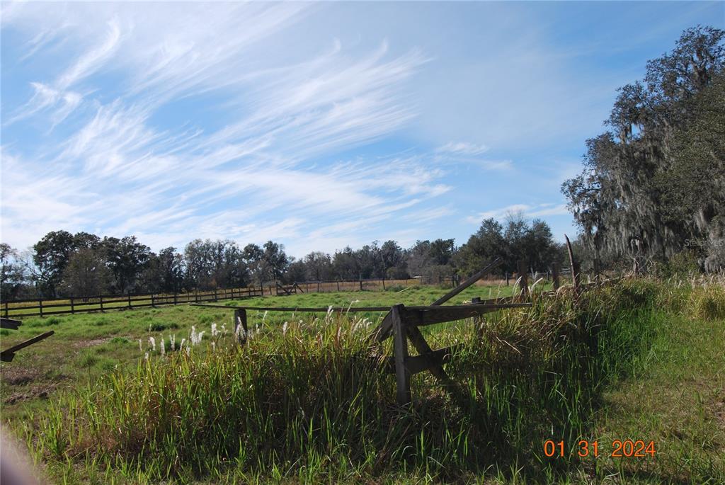 9848 Brantley Road Lithia, FL 33547 - Photo 11 of 25 PASTURE
