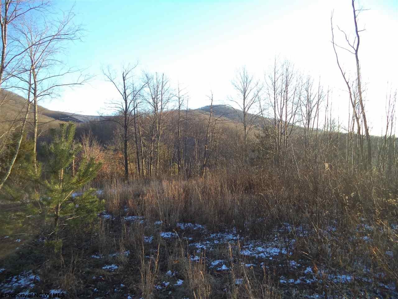 0 Scotts Lake Road Beverly, WV 26253 - Photo 5 of 9 Gallery Image 5