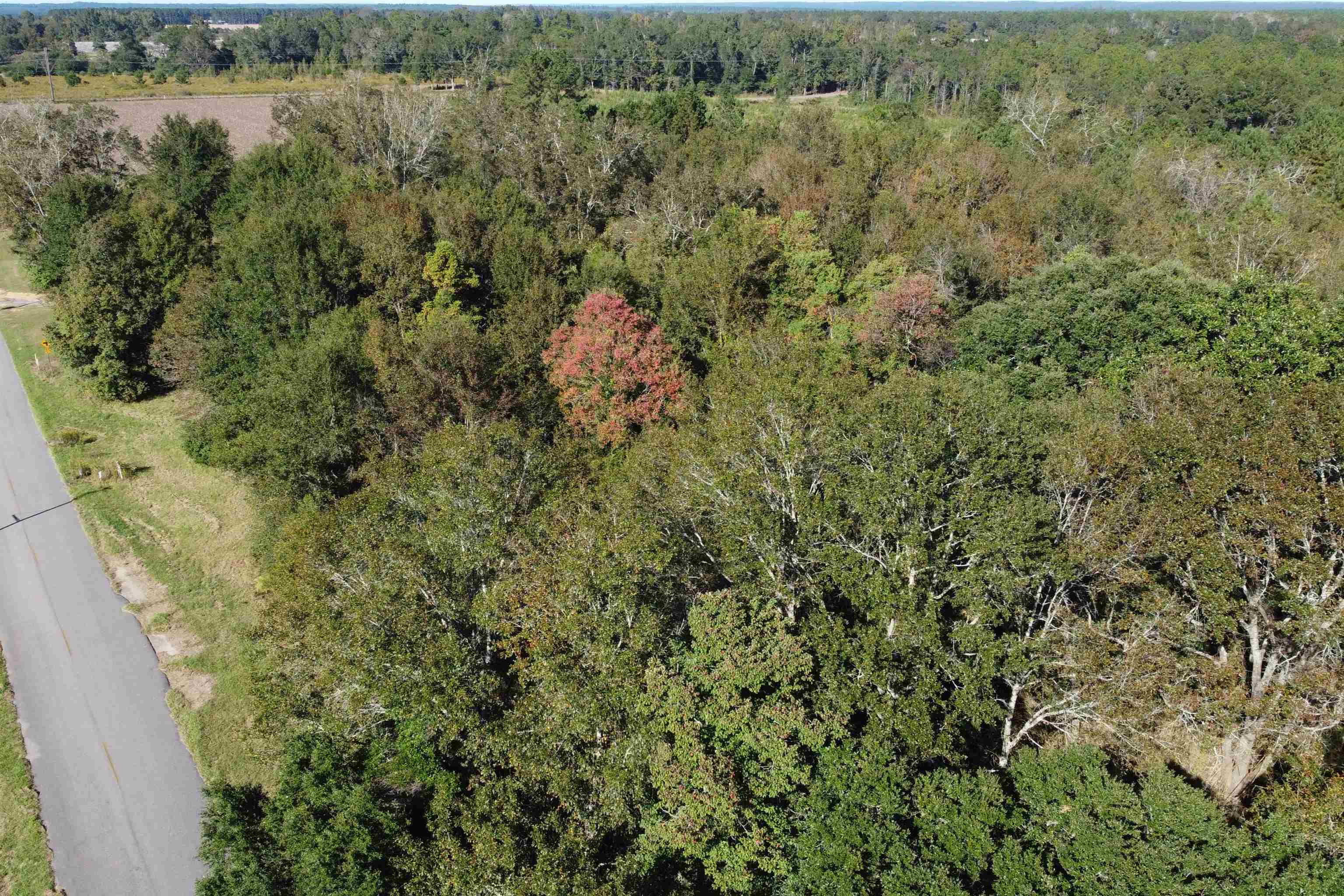 0 Cowpen Creek Road Atmore, AL 36502 - Photo 15 of 21