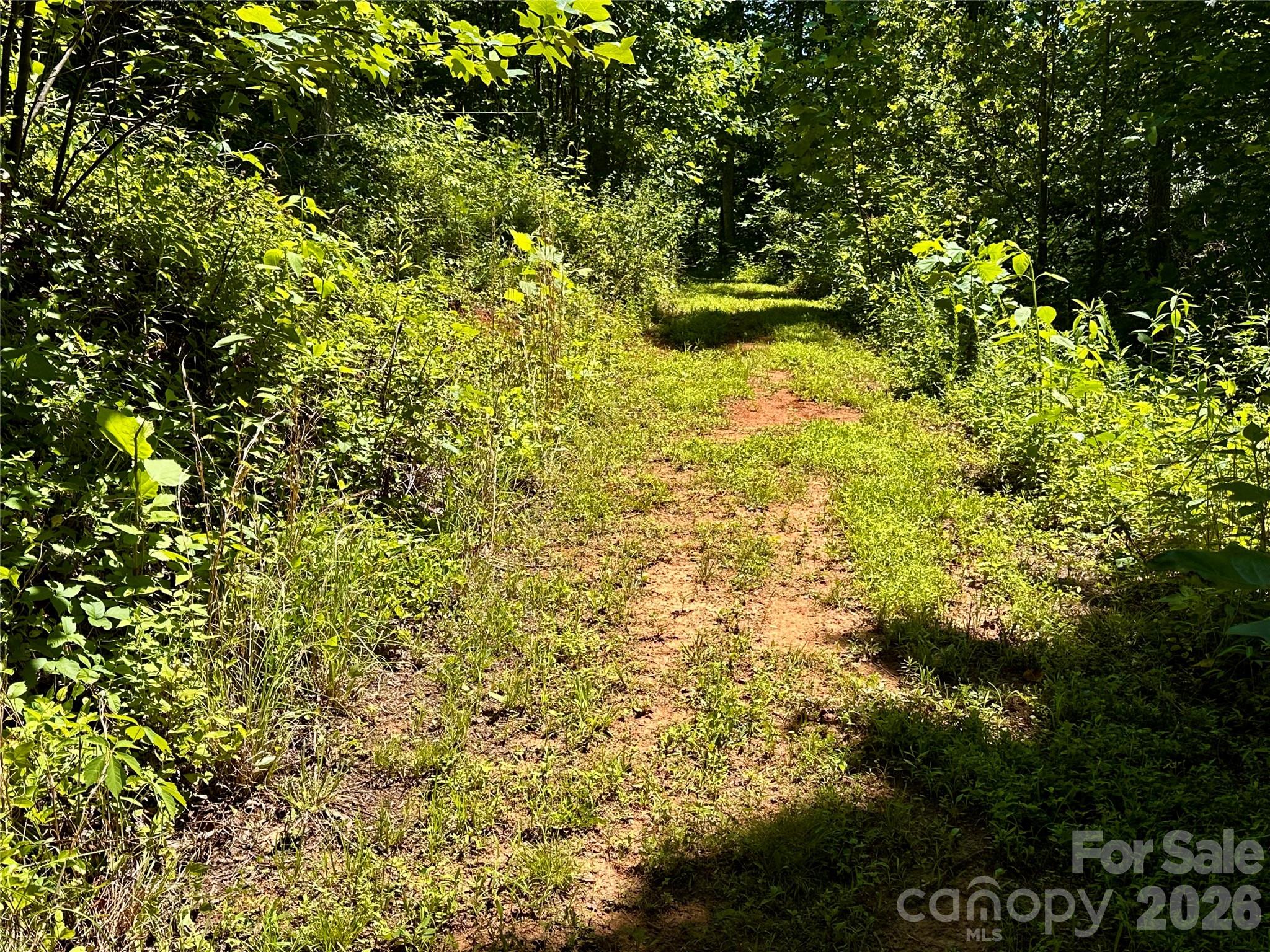 2825 Harrell Hill Road Bakersville, NC 28705 - Photo 46 of 47