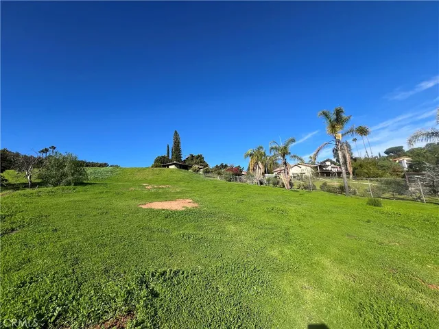 a view of a grassy area with an trees