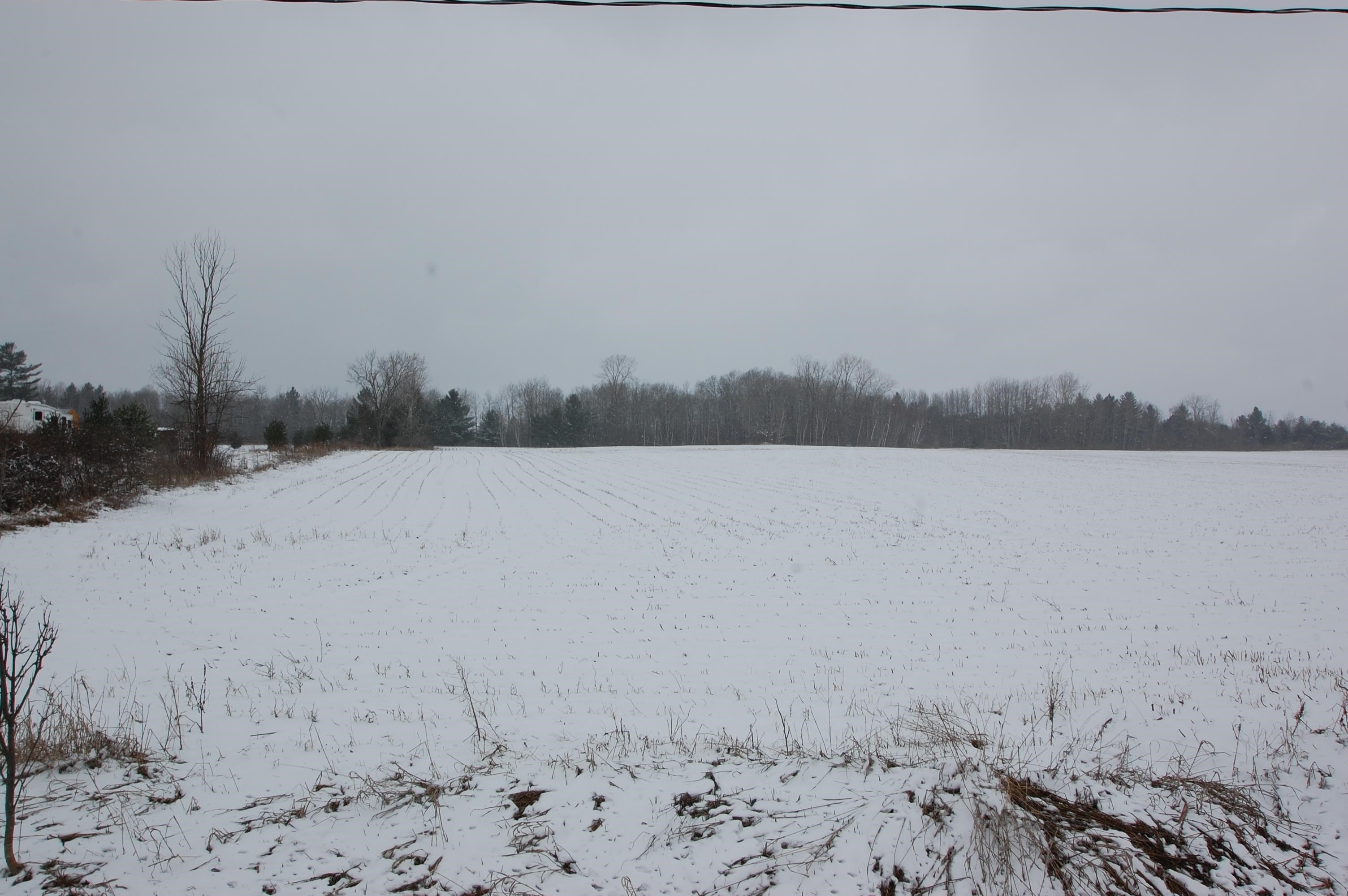 0 Sage Lake Road Prescott, MI 48756 - Photo 3 of 5