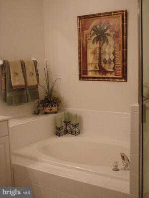 456 Oakton Road Odenton, MD 21113 - Photo 9 of 23 Deep soaking tub and separate shower!
