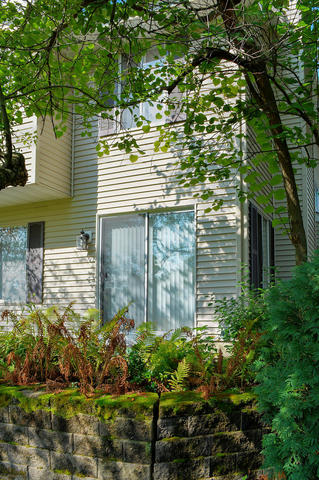 445 Old Surrey Road Hinsdale, IL 60521 - Photo 28 of 29