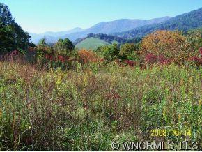 0 Riley Ridge Waynesville, NC 28785 - Photo 1 of 5 a view of a lush green field with a tree in the background