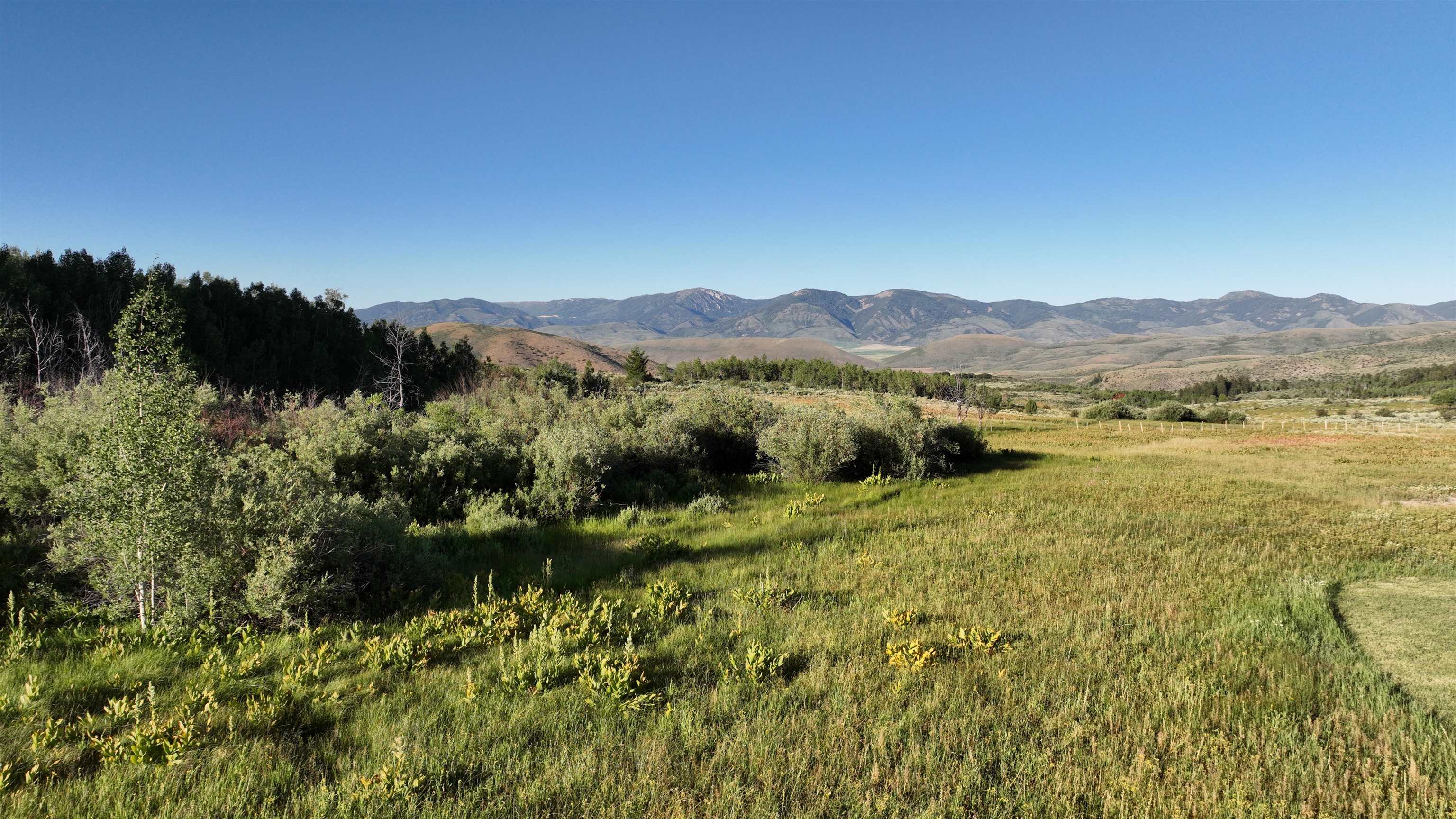 Canyon Road Montpelier, ID 83254 - Photo 29 of 48 Gallery Image 29