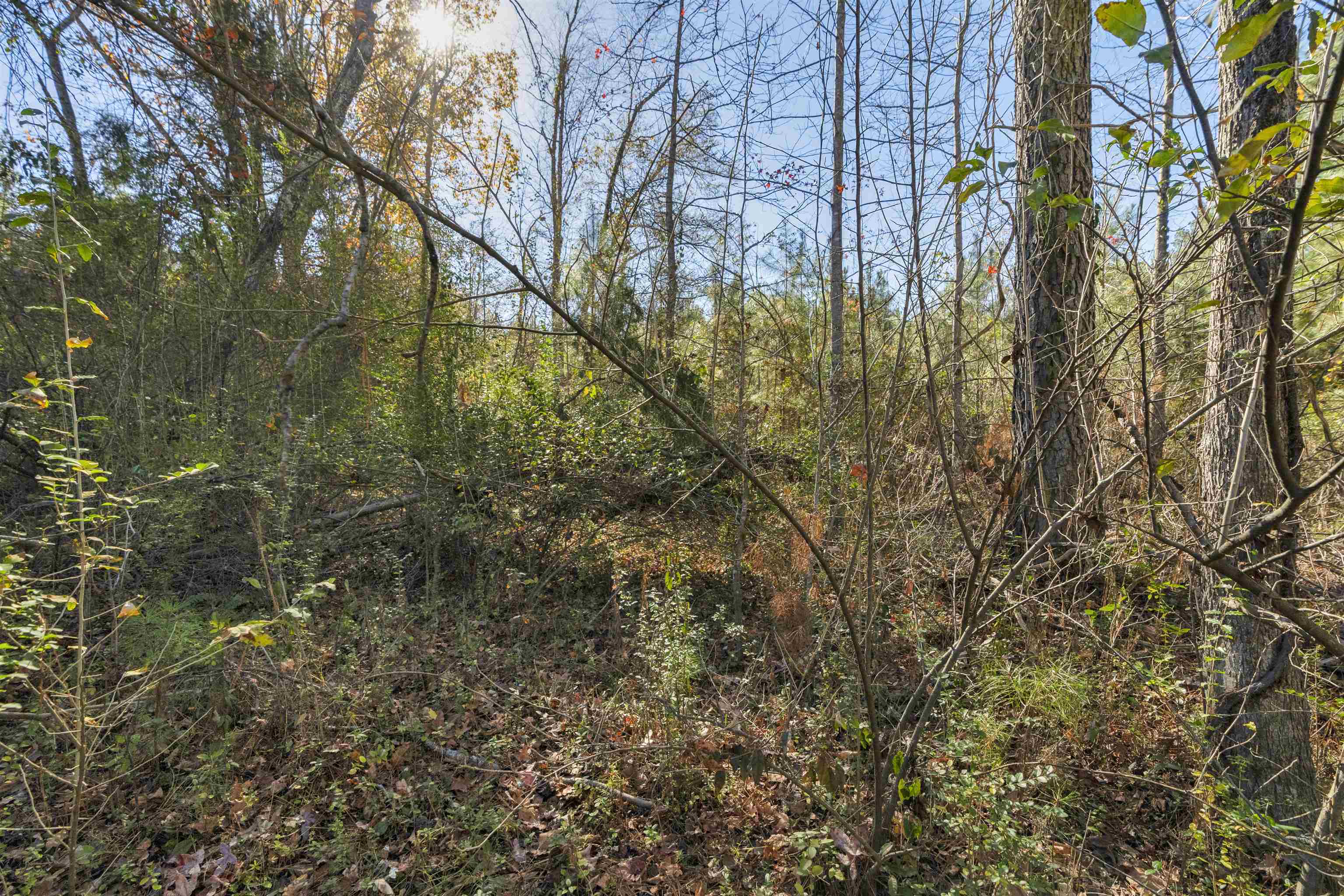 0 Quarter Round Road Pacolet, SC 29372 - Photo 44 of 45 Gallery Image 44