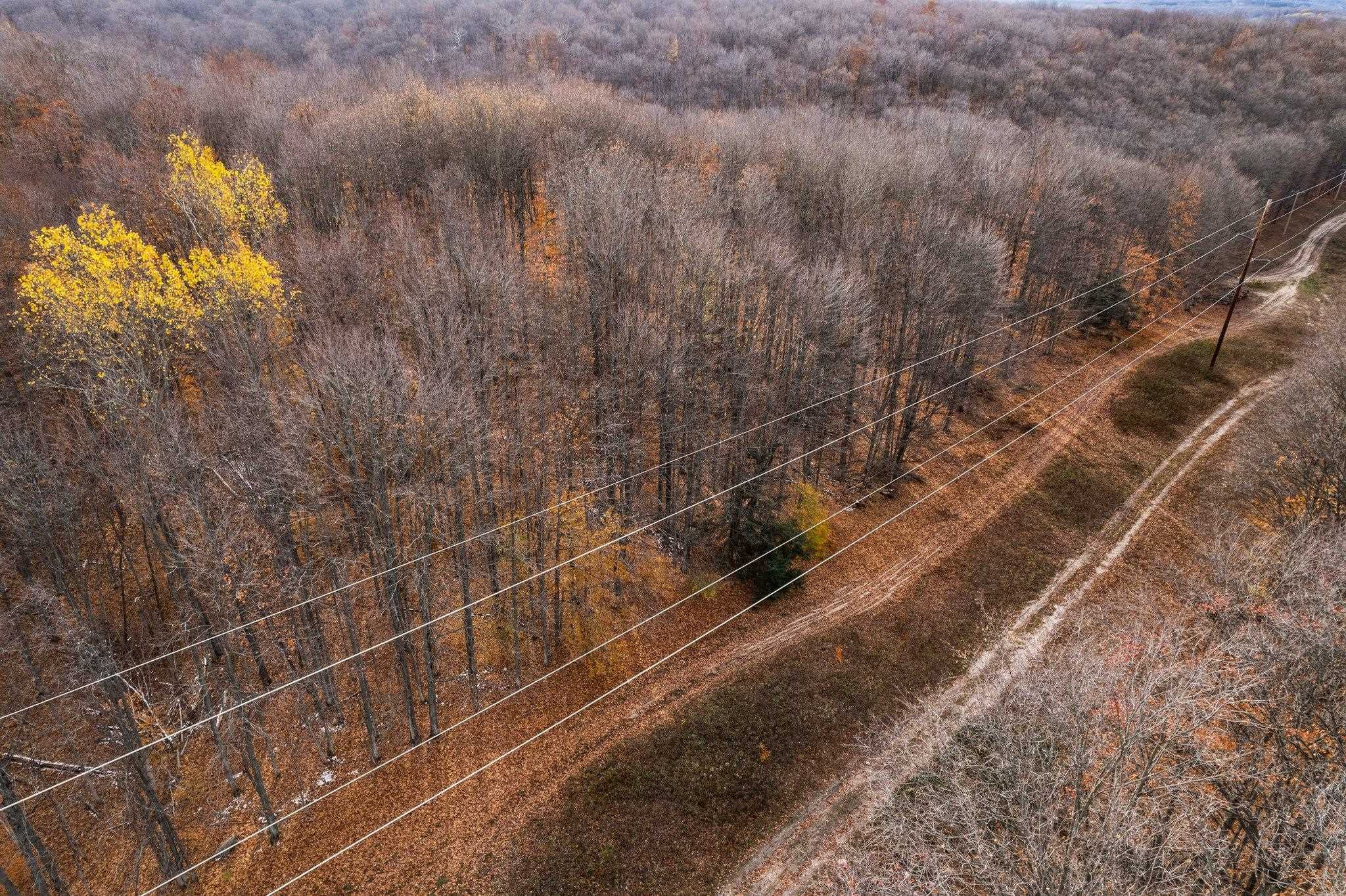 6 Miller Road Mancelona, MI 49659 - Photo 39 of 50