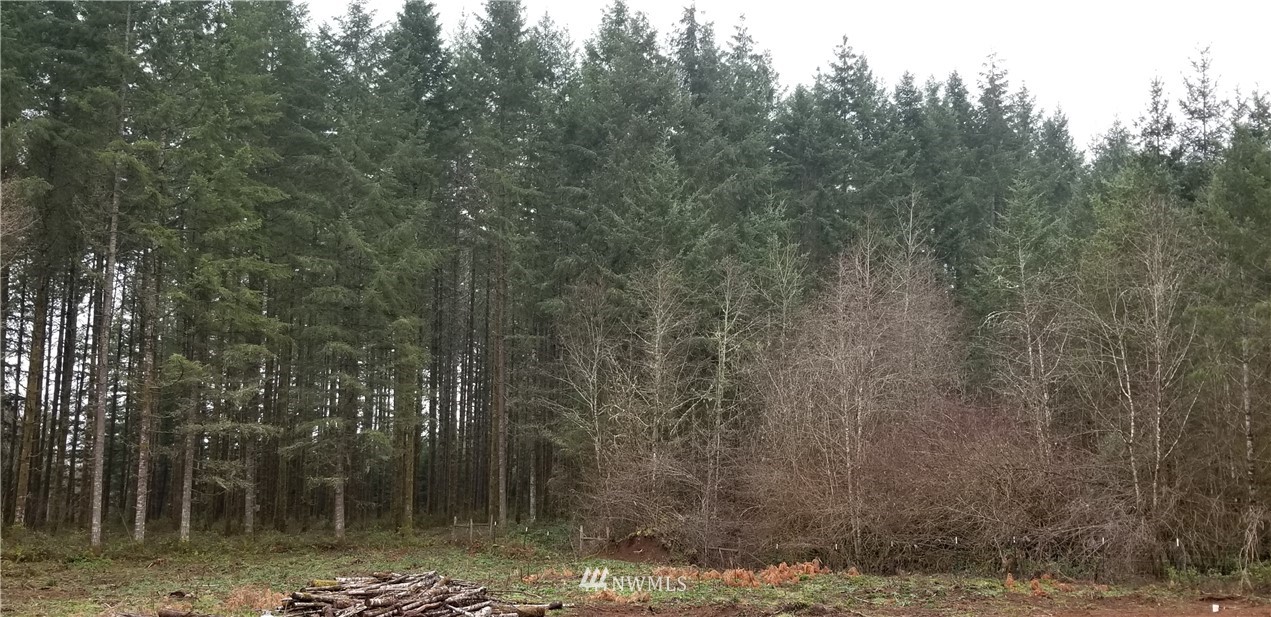 479 South Military Road Winlock, WA 98596 - Photo 11 of 13