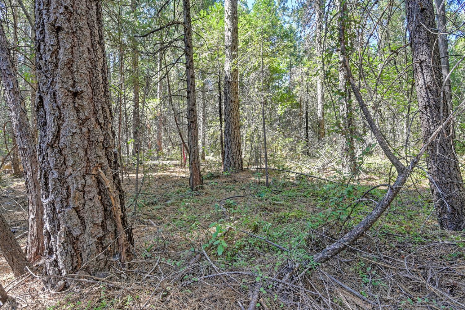 0 Big Dipper Road Colfax, CA 95713 - Photo 16 of 30 Gallery Image 16