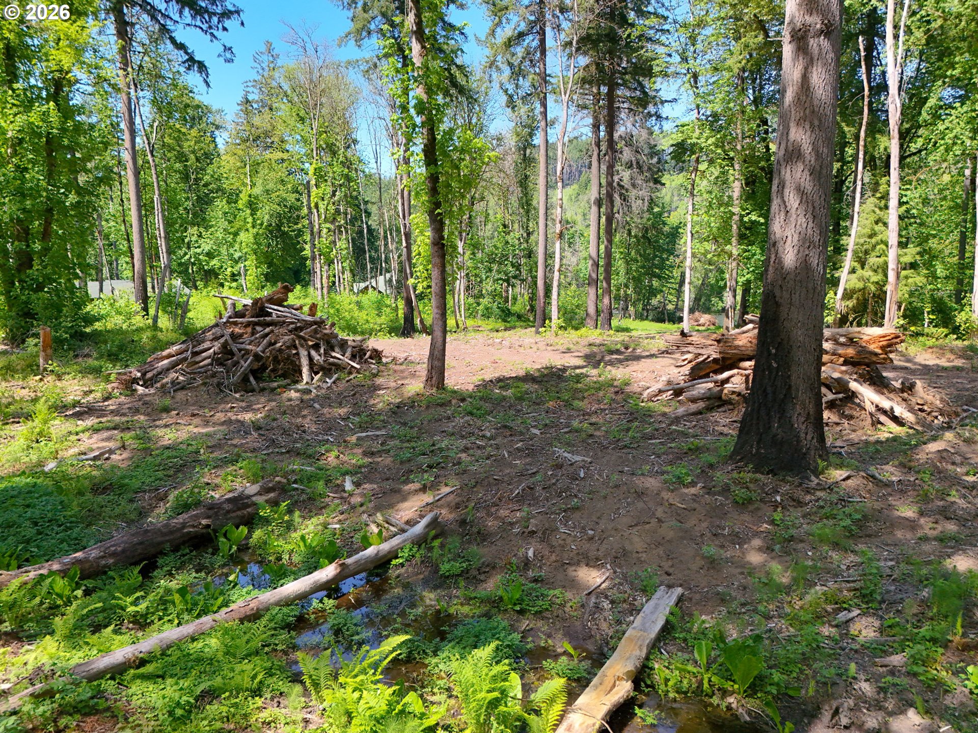 Goodpasture Road, Unit 1809 Vida, OR 97488 - Photo 24 of 24