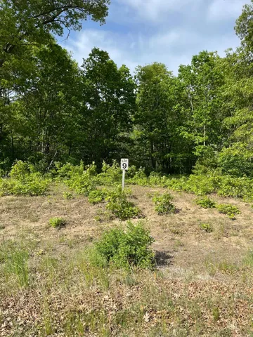 $23,850 | Lot 9 Renaissance, Manistee, MI 49660