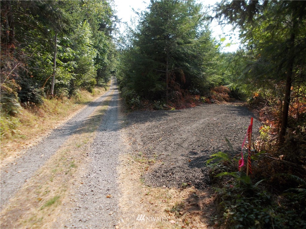 3 Southeast Bloomfield Road Shelton, WA 98584 - Photo 1 of 7 Gallery Image 1