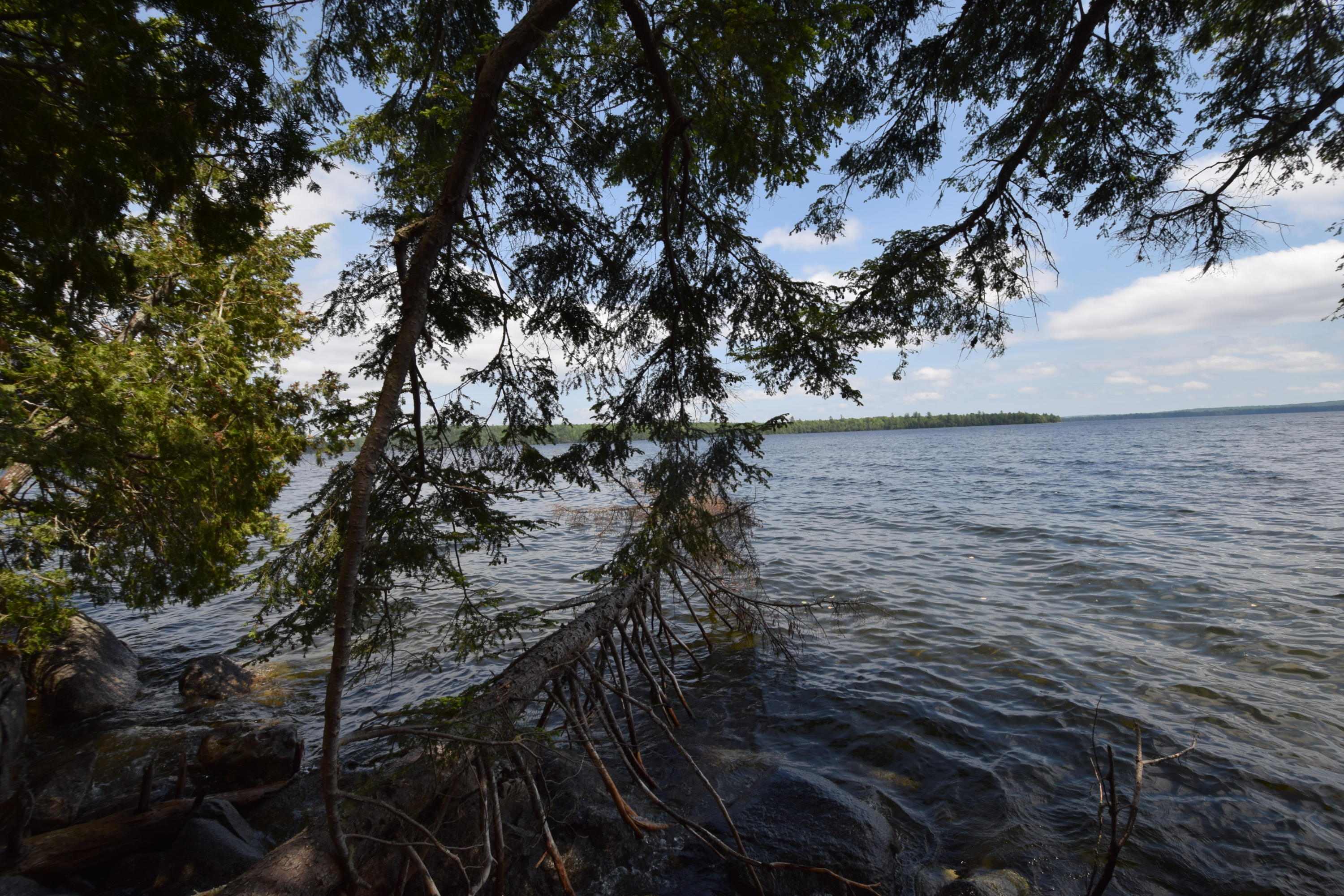0 Chadwick Pt Road Weston, ME 04424 - Photo 5 of 20 Spring fed cold water fishery...