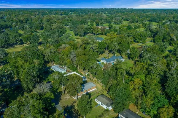 a view of a lush green forest with lots of trees