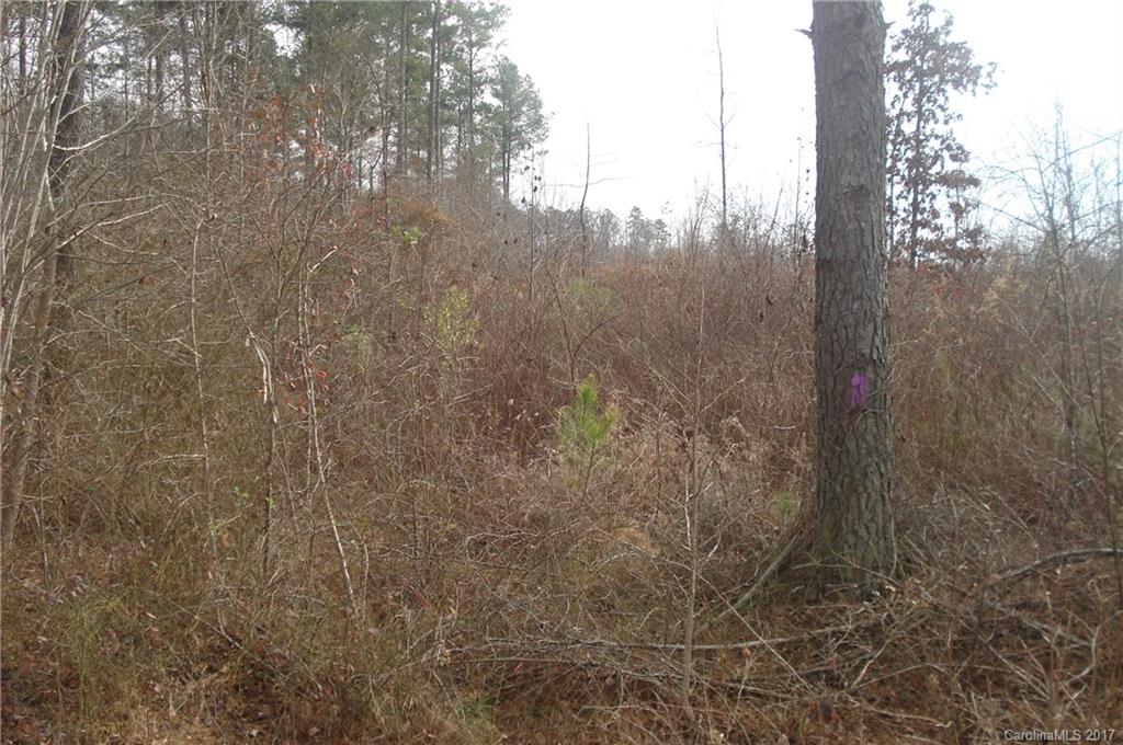 15200 Short Cut Road Gold Hill, NC 28071 - Photo 4 of 5 Gallery Image 4