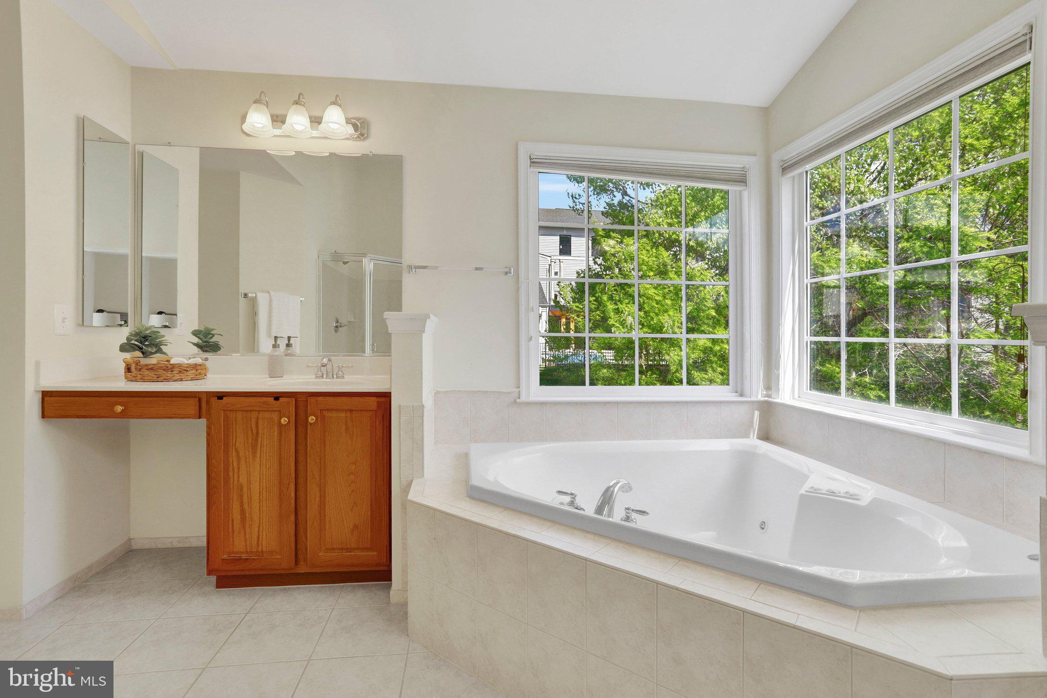 6247 Rolling Spring Court Springfield, VA 22152 - Photo 26 of 52 a bathroom with a bathtub a double vanity sink and large mirror