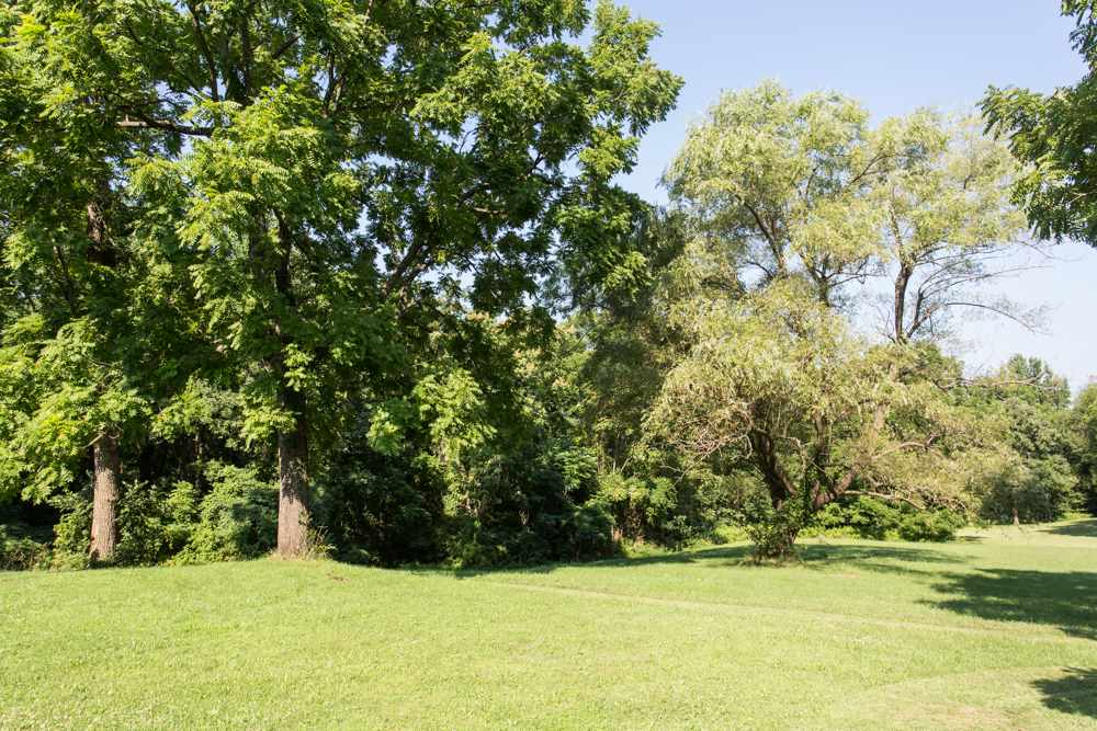 284 Mosbys Camp Road Stanley, VA 22851 - Photo 17 of 22 Gallery Image 17