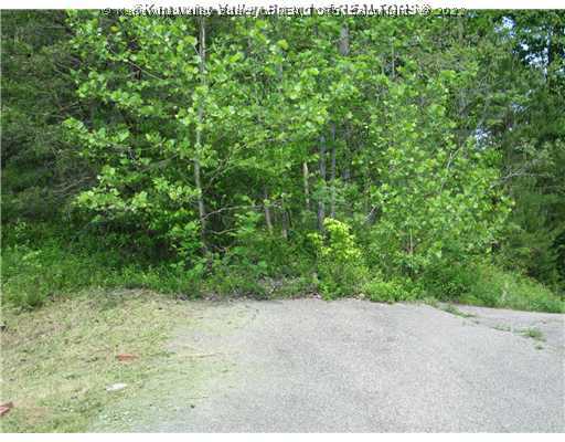 0 Epcot Drive Elkview, WV 25071 - Photo 1 of 8 Land. PROPERTY STARTS AT END OF BLACKTOP, EPICOT DRIVE