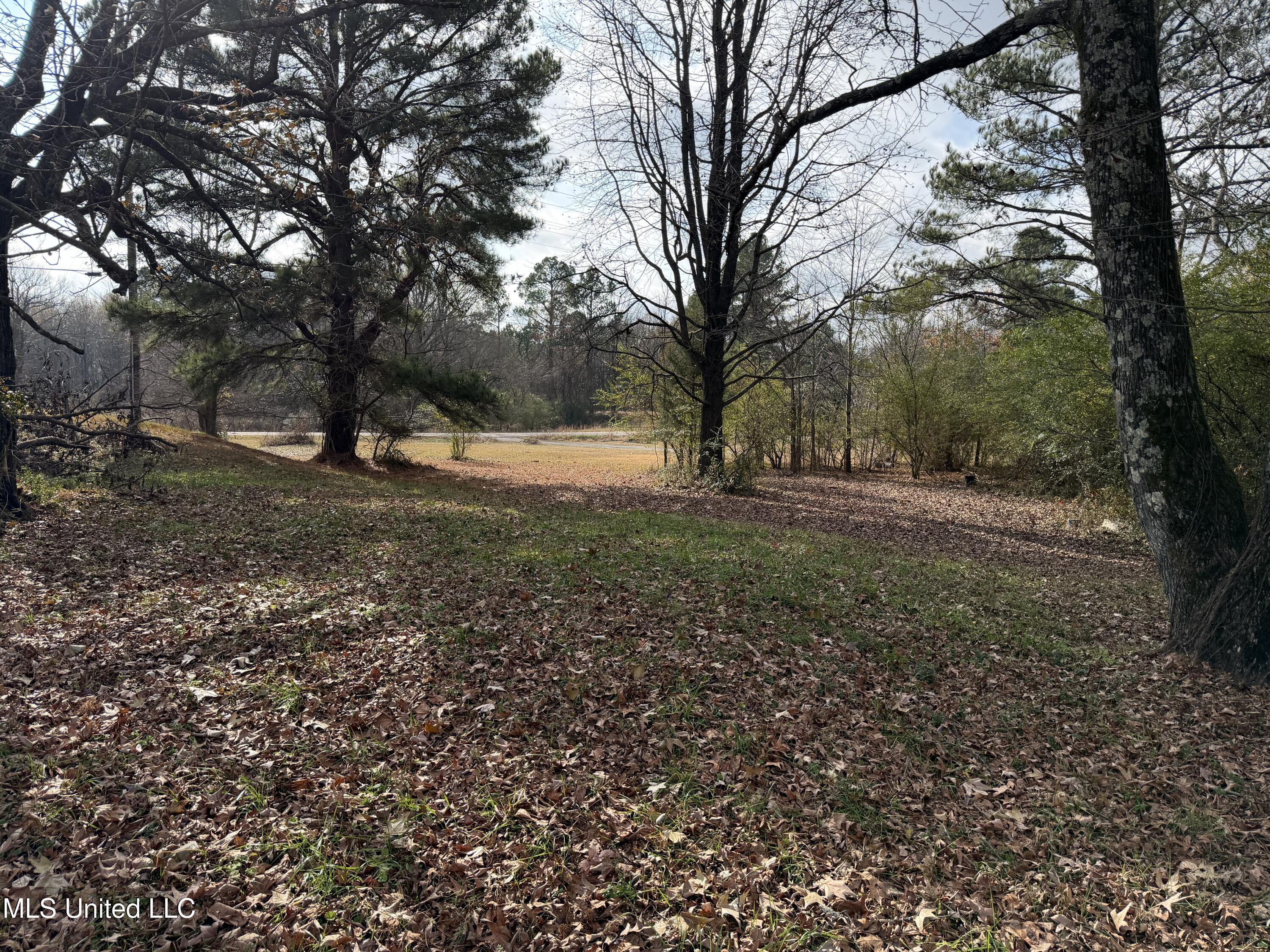 7920 West Sandidge Road Olive Branch, MS 38654 - Photo 5 of 8 IMG_0199