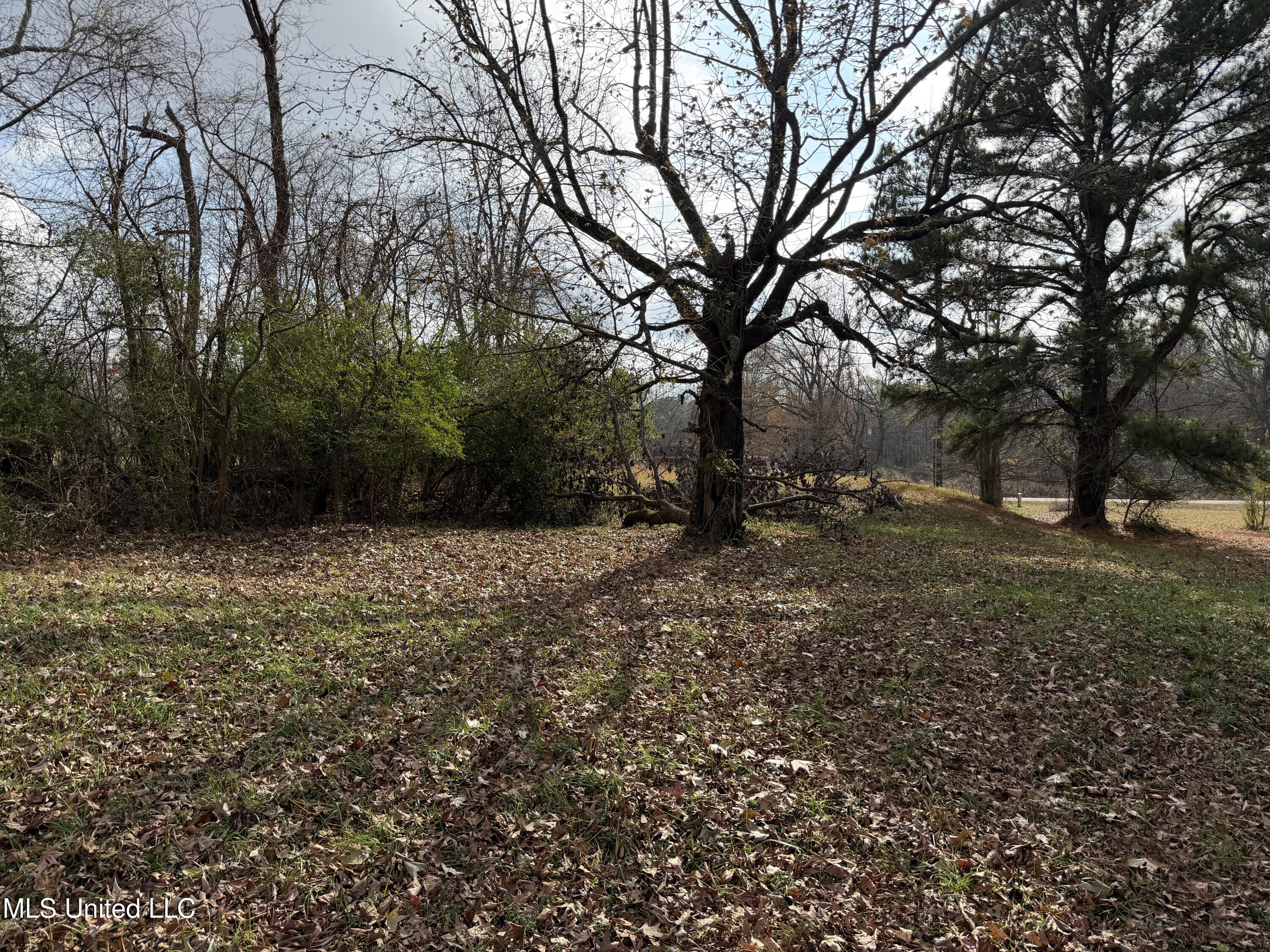 7920 West Sandidge Road Olive Branch, MS 38654 - Photo 6 of 8 IMG_0200