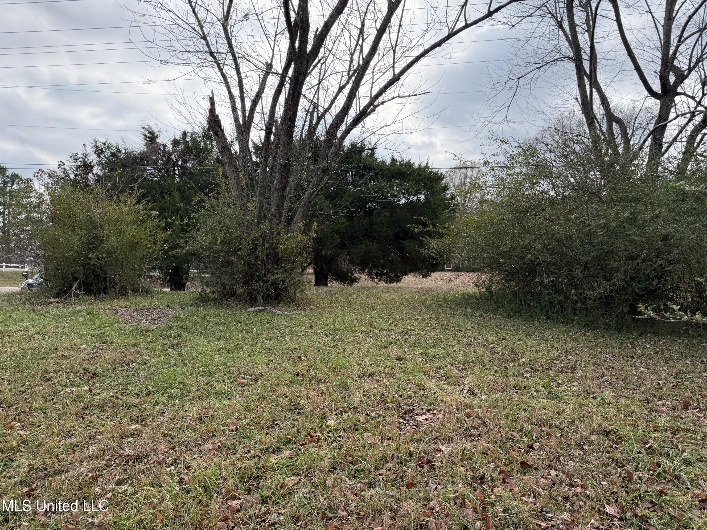 7920 West Sandidge Road Olive Branch, MS 38654 - Photo 7 of 8 IMG_0179