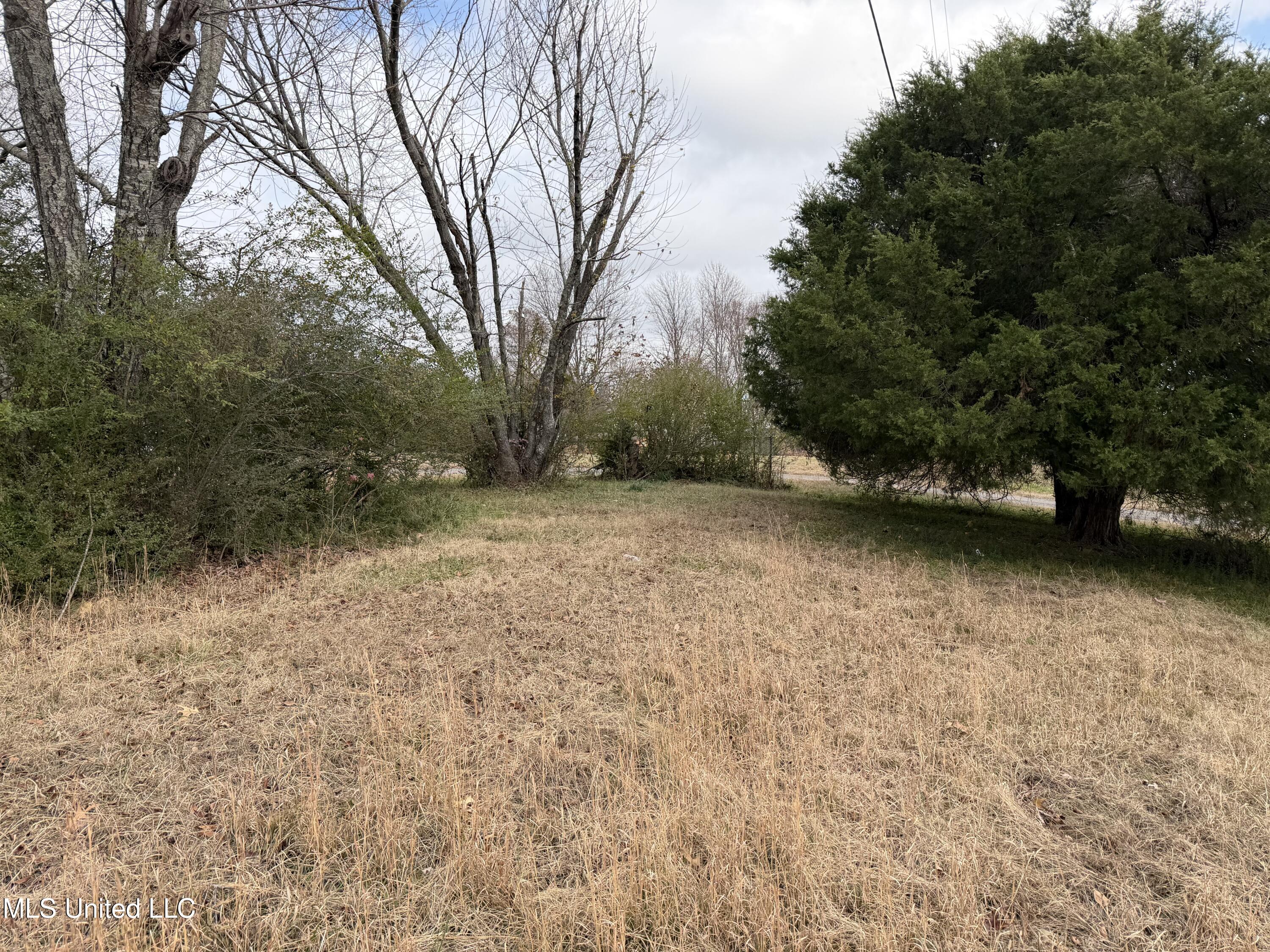 7920 West Sandidge Road Olive Branch, MS 38654 - Photo 8 of 8 IMG_0182