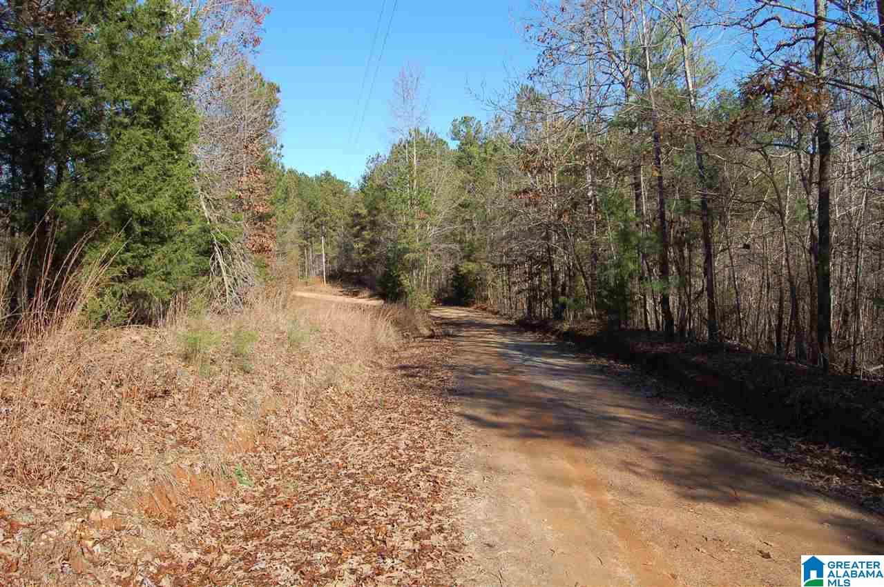 101 County Road, Unit 10 Equality, AL 36026 - Photo 7 of 8