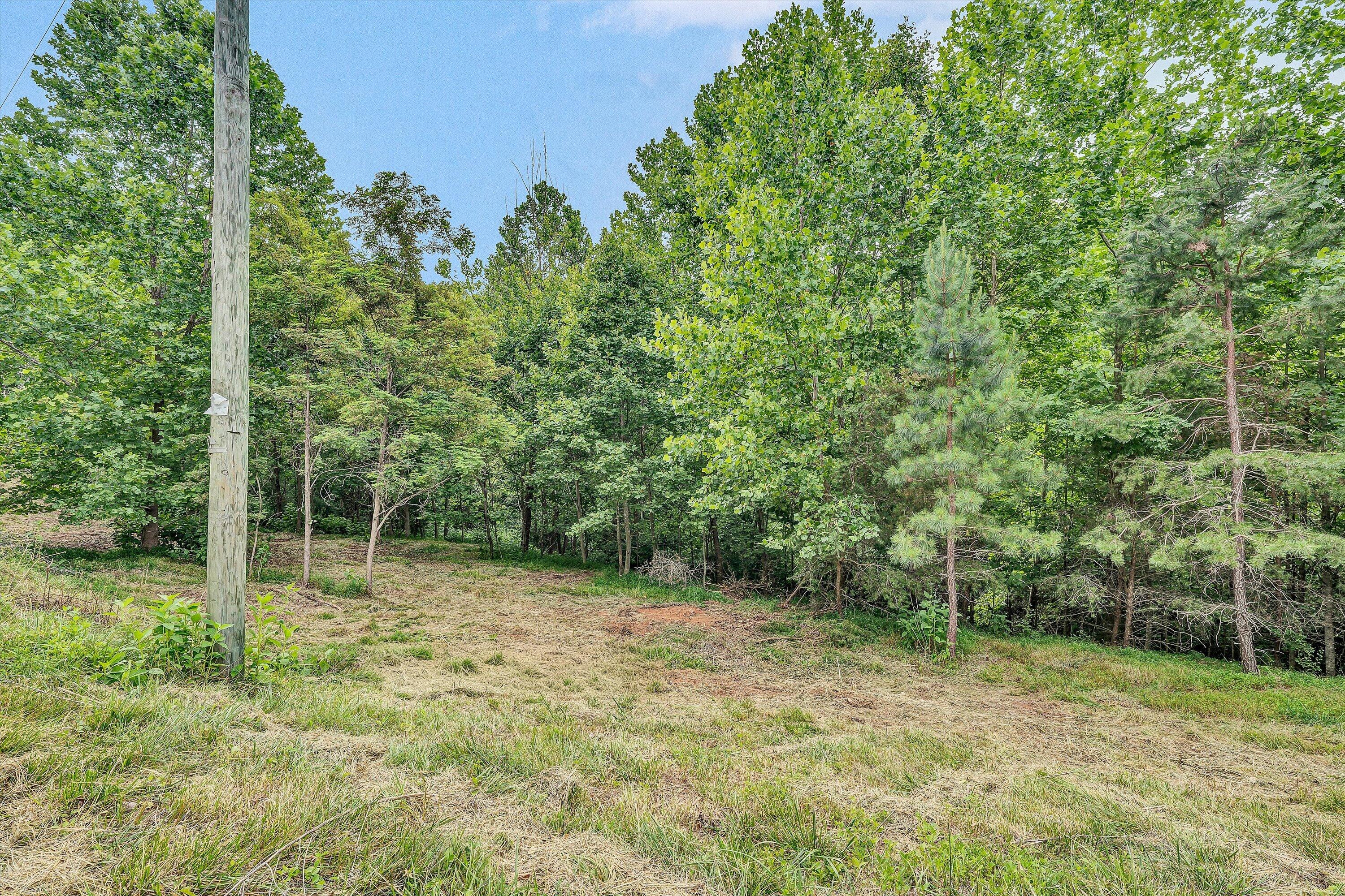 Lot 5-6 Stripers Cove Road Goodview, VA 24095 - Photo 3 of 7 3-DSC05764