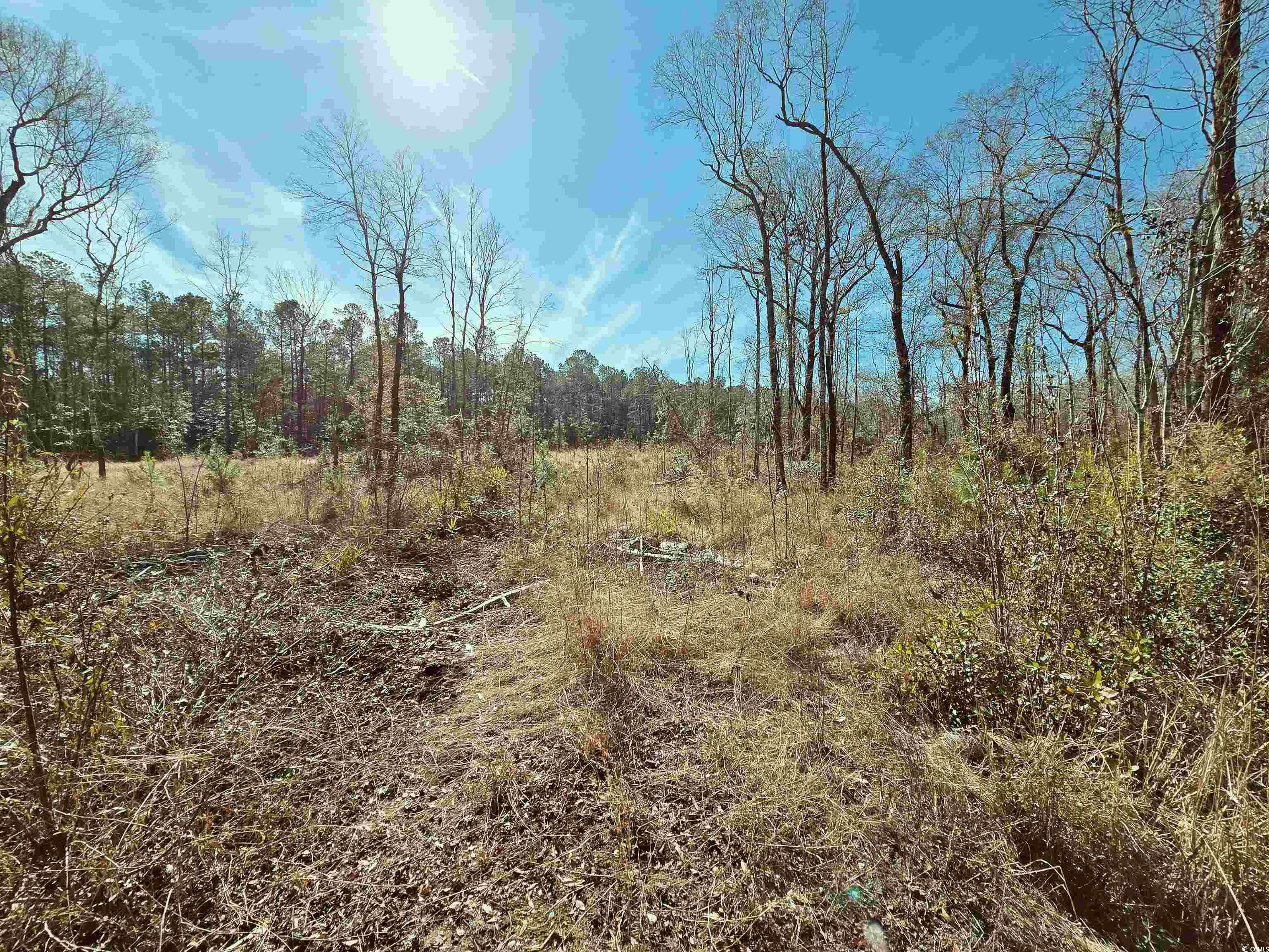 4 Pauley Swamp Road Conway, SC 29527 - Photo 1 of 6