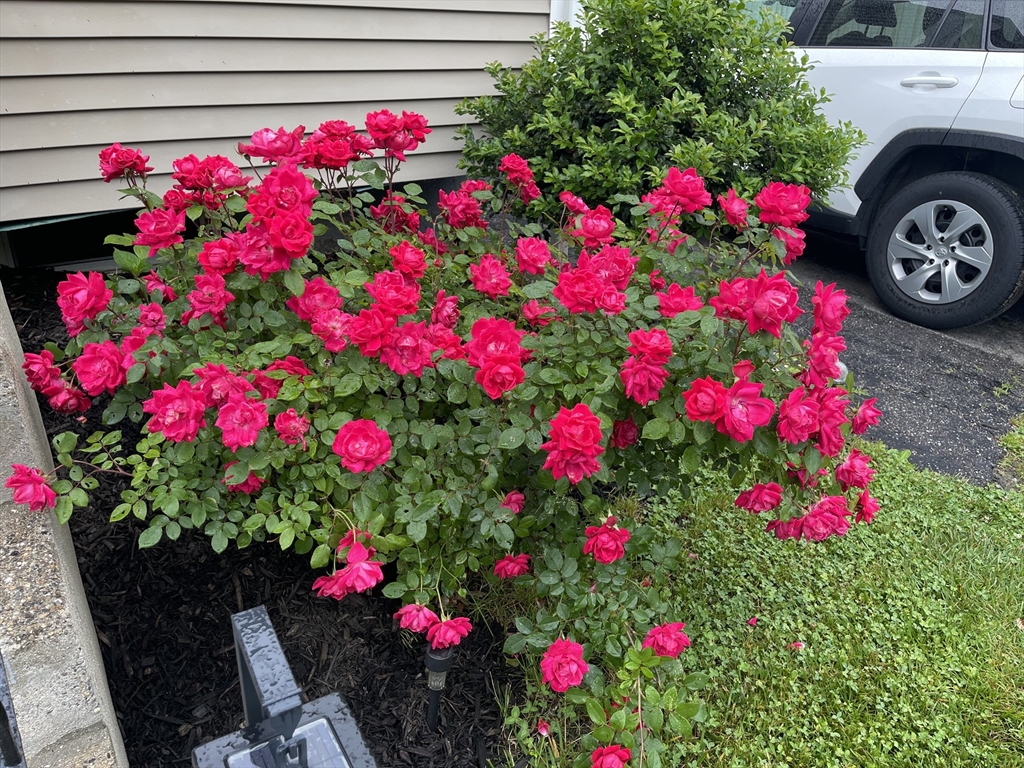 41 Knowles Road Worcester, MA 01602 - Photo 34 of 34