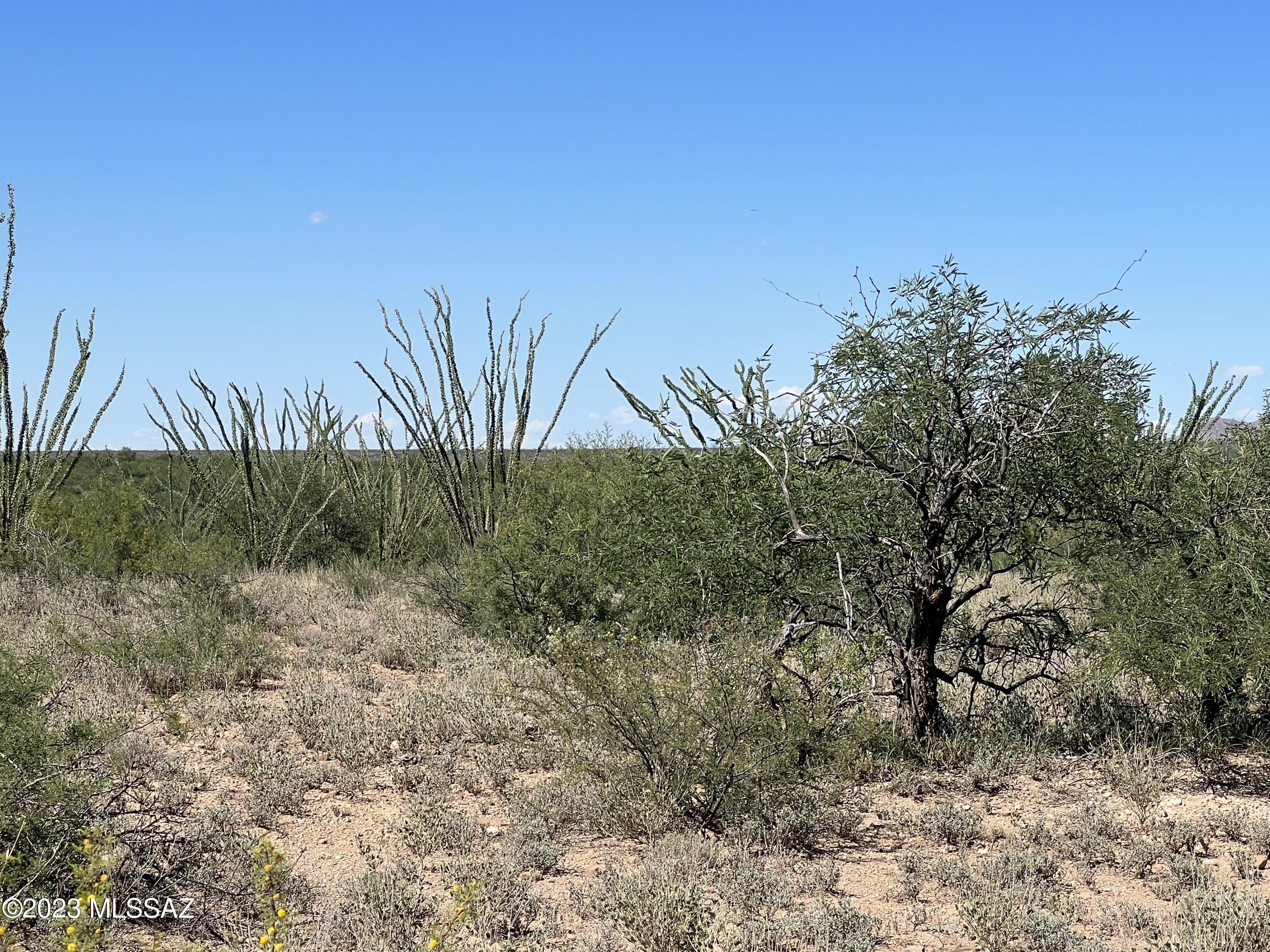 Tbd Camino Nacozari, Unit 71 Rio Rico, AZ 85648 - Photo 17 of 19 Incredible Opportunity
