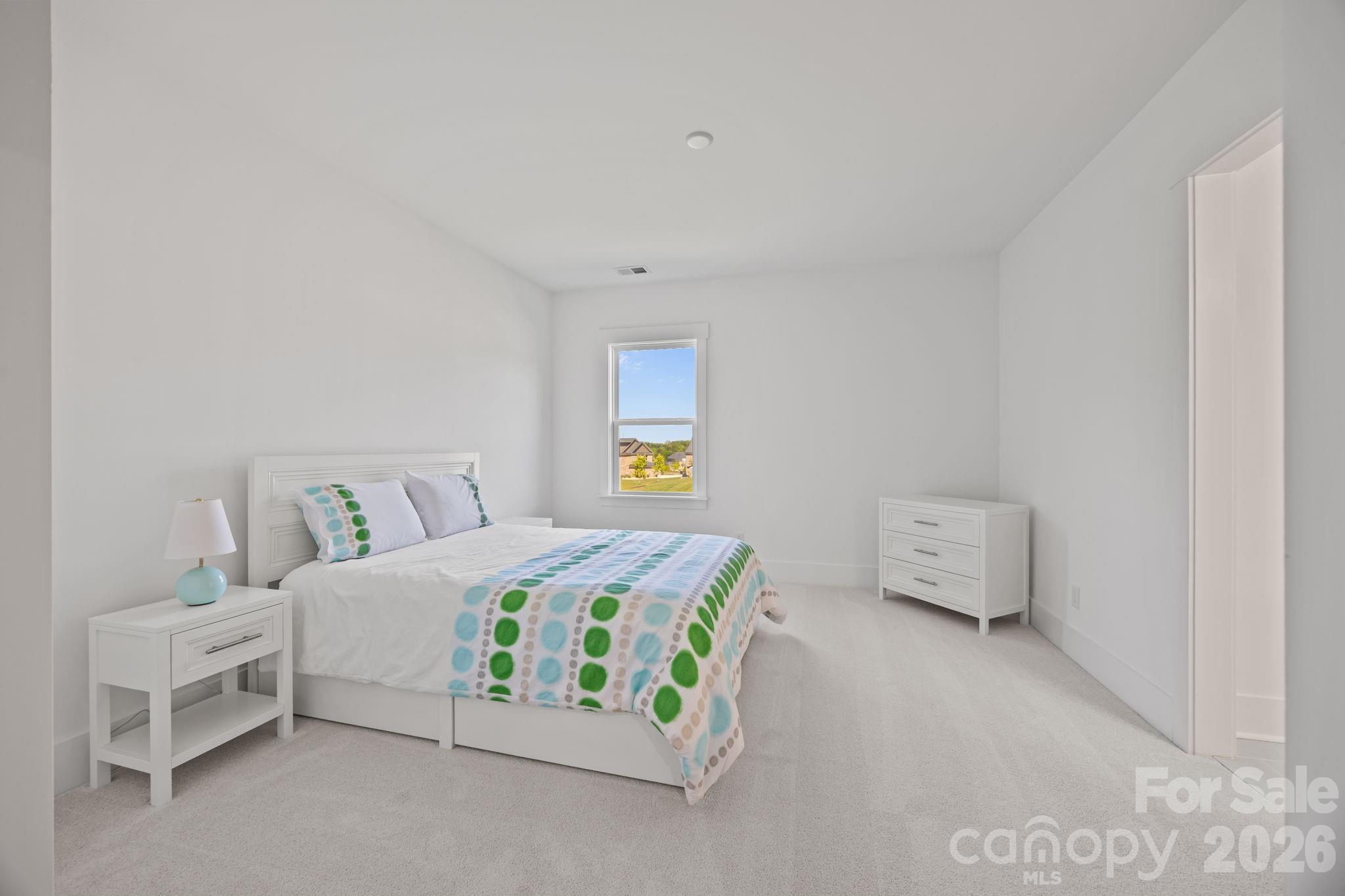 8620 Balcony Bridge Road Huntersville, NC 28078 - Photo 33 of 48 Gallery Image 33