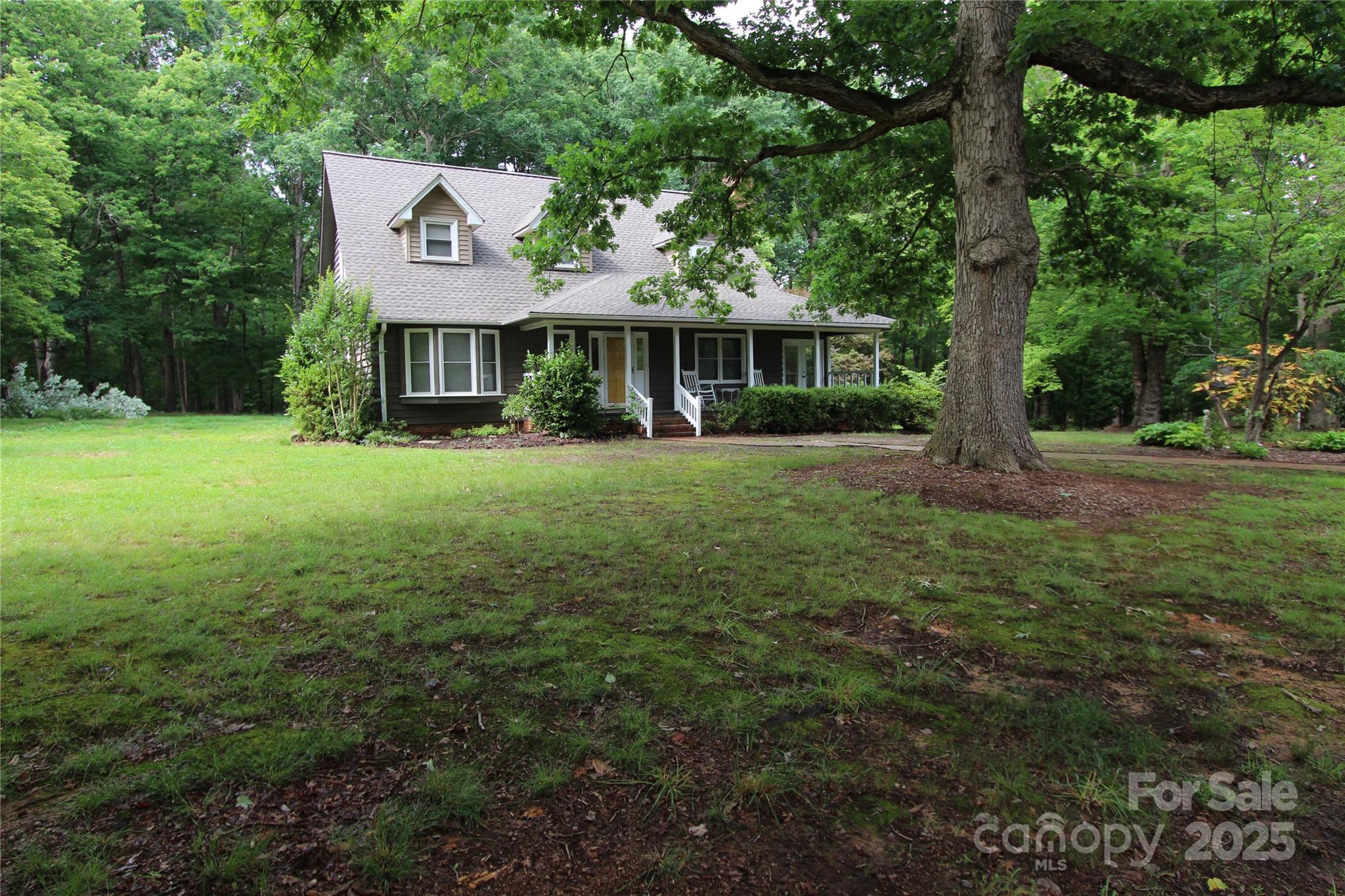 344 Lucas Road Star, NC 27356 - Photo 1 of 32 a view of a big yard with plants and large trees