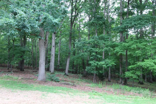 a backyard of a house with lots of trees and plants