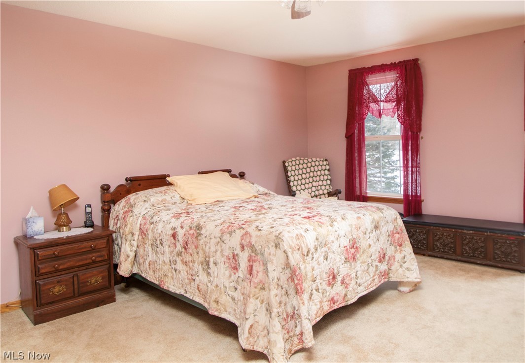 5501 Clingan Road Struthers, OH 44471 - Photo 17 of 30 Gallery Image 17