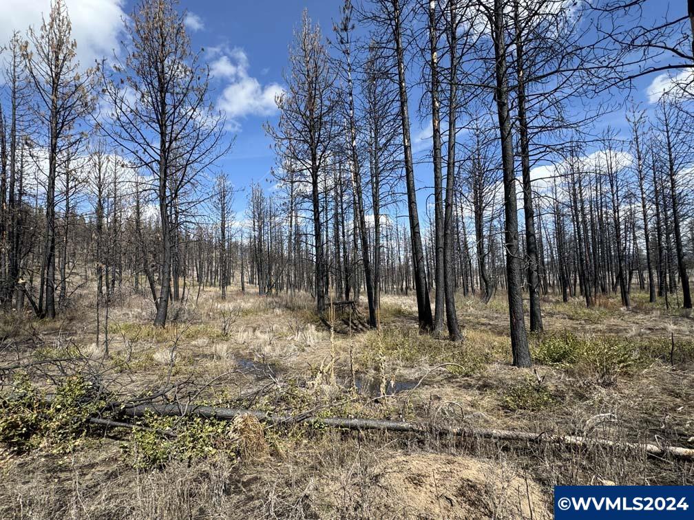 800 Nf 4464 Road Chiloquin, OR 97624 - Photo 11 of 25
