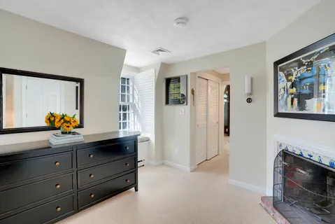 a view of a yard with plants