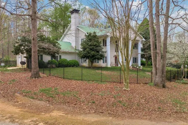 a close up of a plant