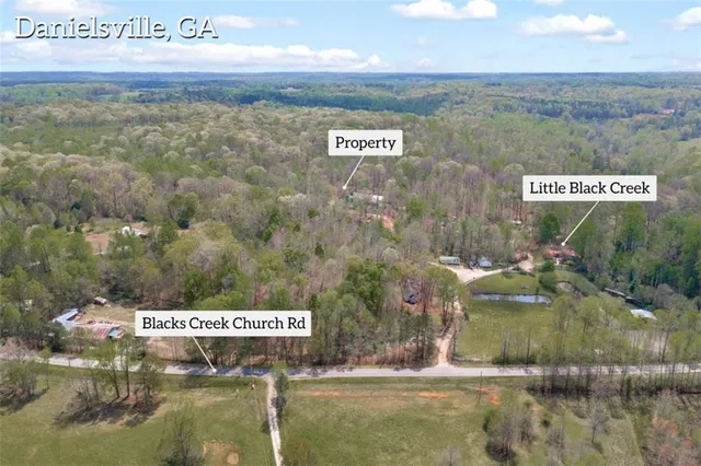 a water view of a tree