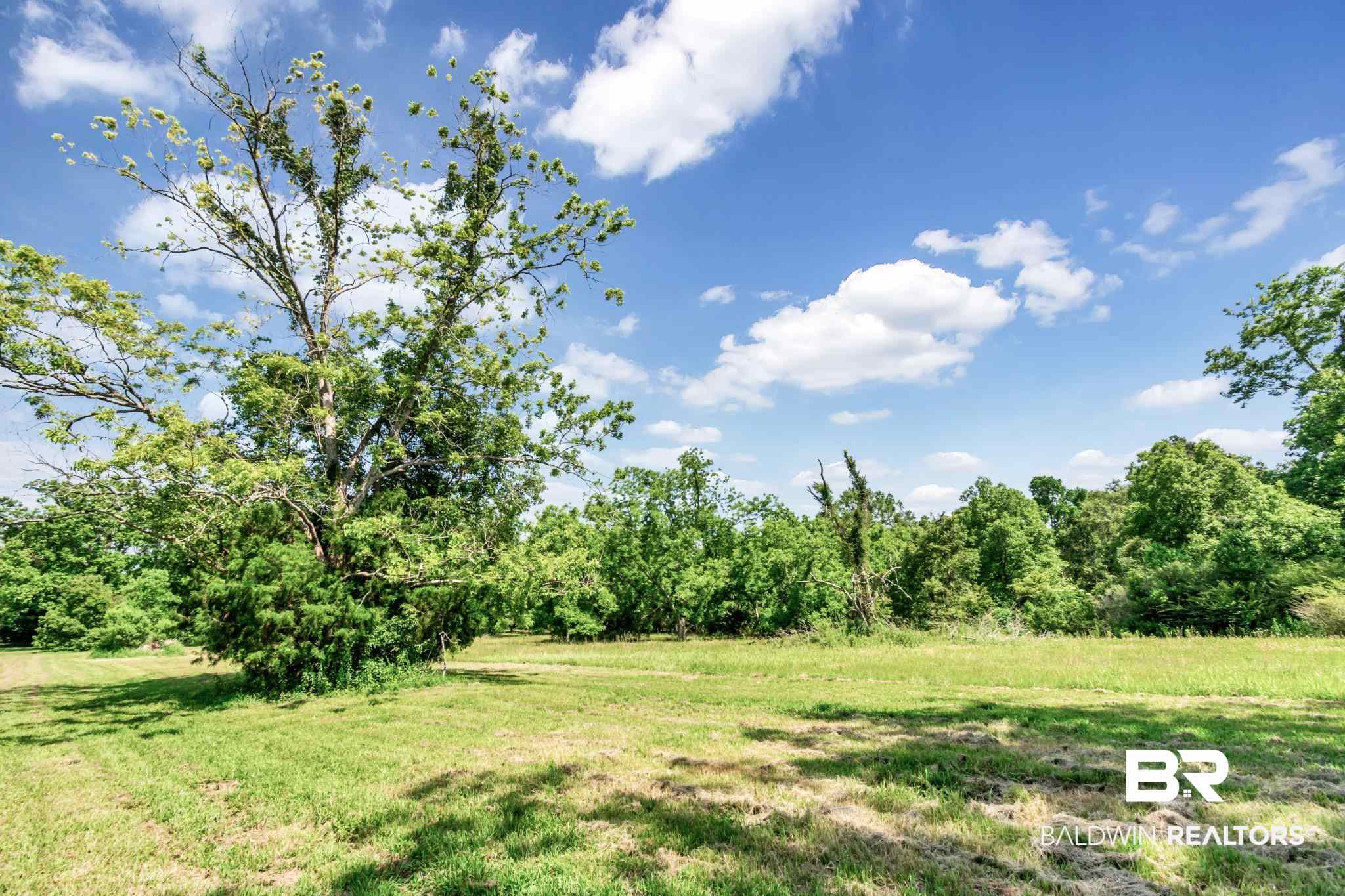 7930 Murray Hill Road Irvington, AL 36544 - Photo 43 of 45