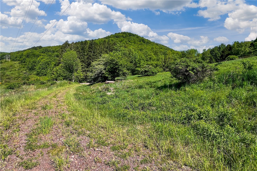 26 Federal Hill Road Delhi, NY 13753 - Photo 11 of 50