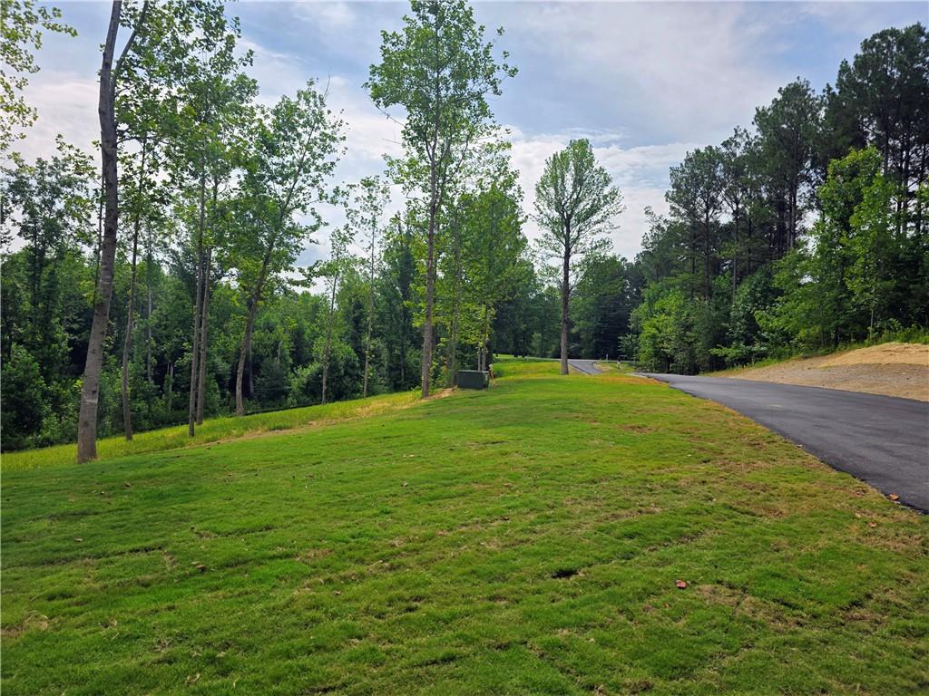 2294 Jerusalem Church Road Jasper, GA 30143 - Photo 2 of 3