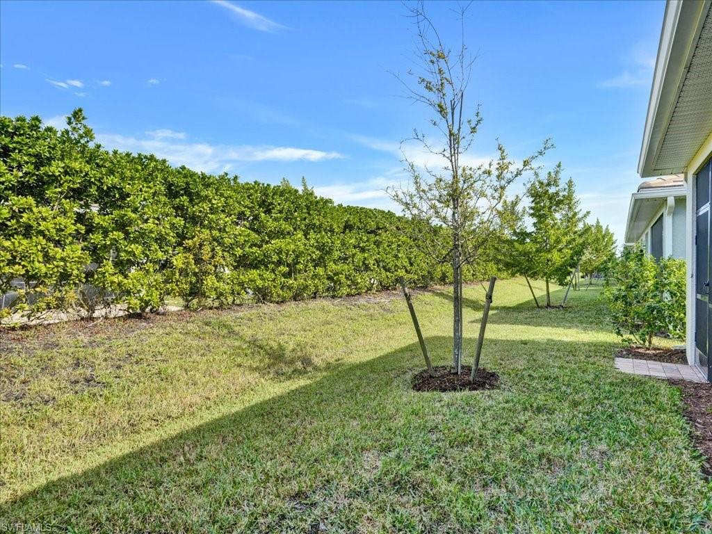 999 Enbrook Loop Naples, FL 34114 - Photo 39 of 50 a view of a garden with a tree