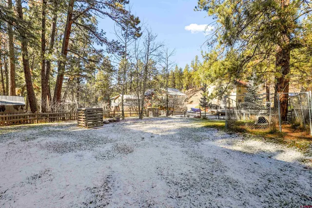 a view of a yard with a tree