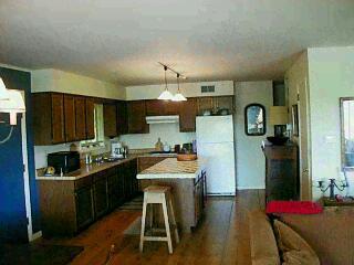 1468 East Wagner Road Buchanan, MI 49107 - Photo 3 of 3 Additional Photo