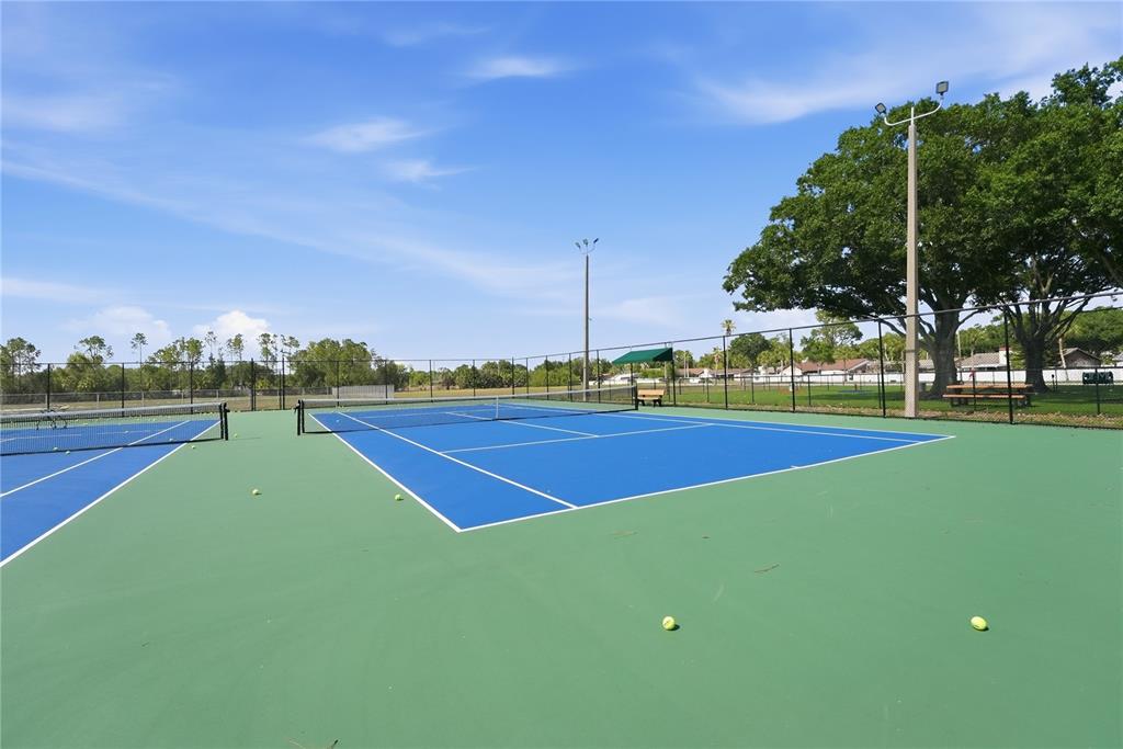 12942 Fennway Ridge Drive Riverview, FL 33579 - Photo 36 of 47