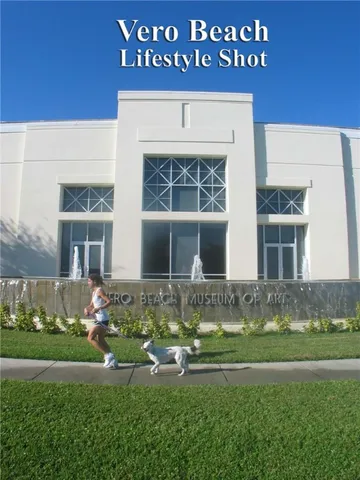 a view of a palm trees and sign board