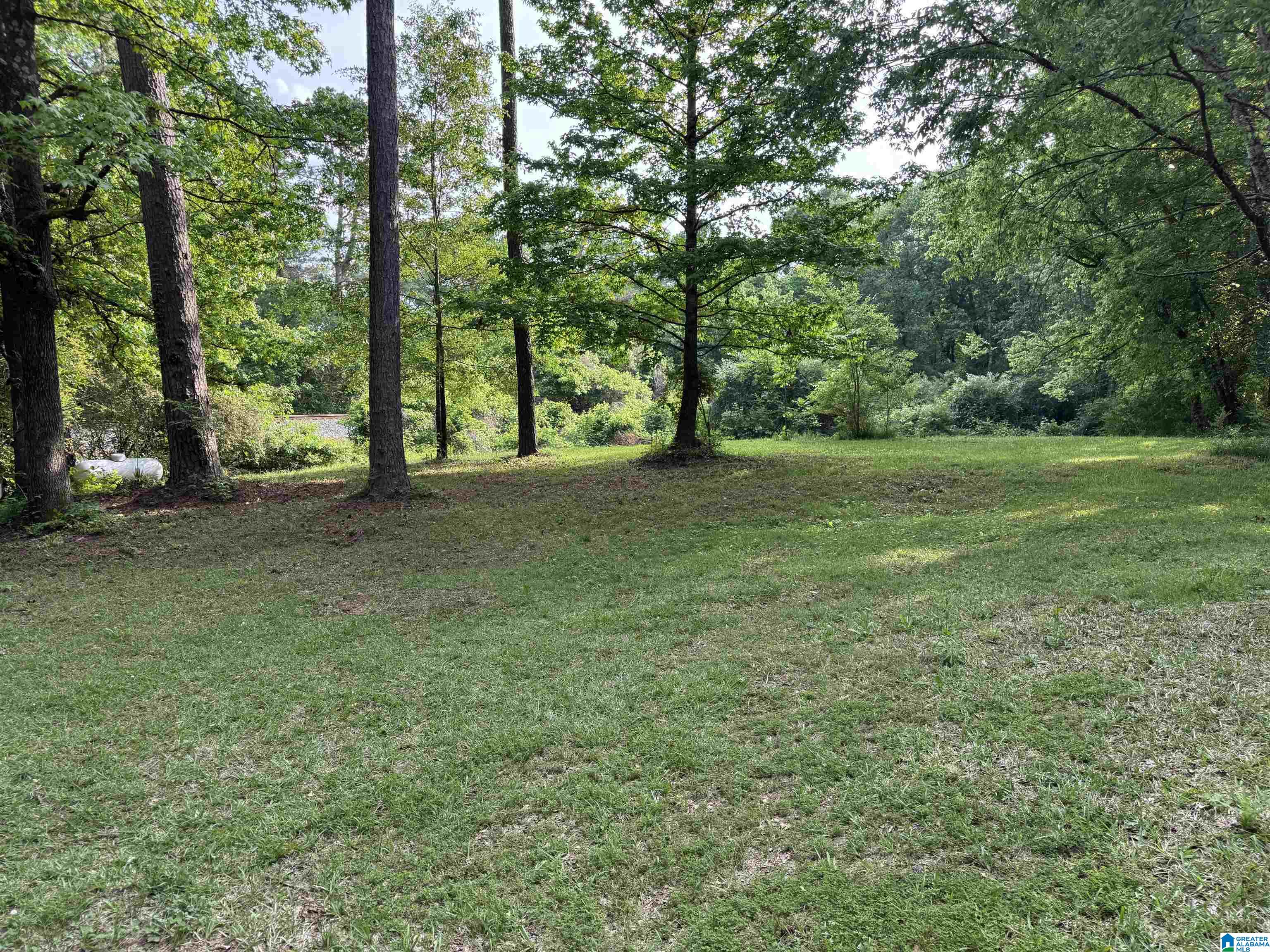 60 Barber Road Riverside, AL 35135 - Photo 3 of 7
